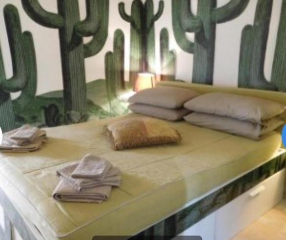 Casa Del Cactus Luxury Maison d'hôtes *